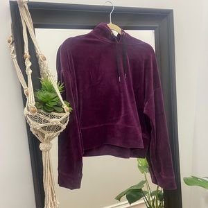 Velvet cropped hoodie